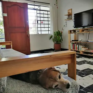 Albergue Selvática, Medellín